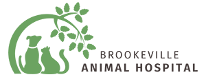 Link to Homepage of Brookeville Animal Hospital