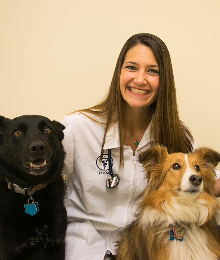 Dr. Katherine Rowan, DVM